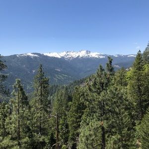 Meet your Posher, Warren